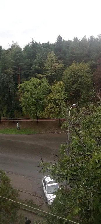 Уютная квартира с видом на Комсомольский парк