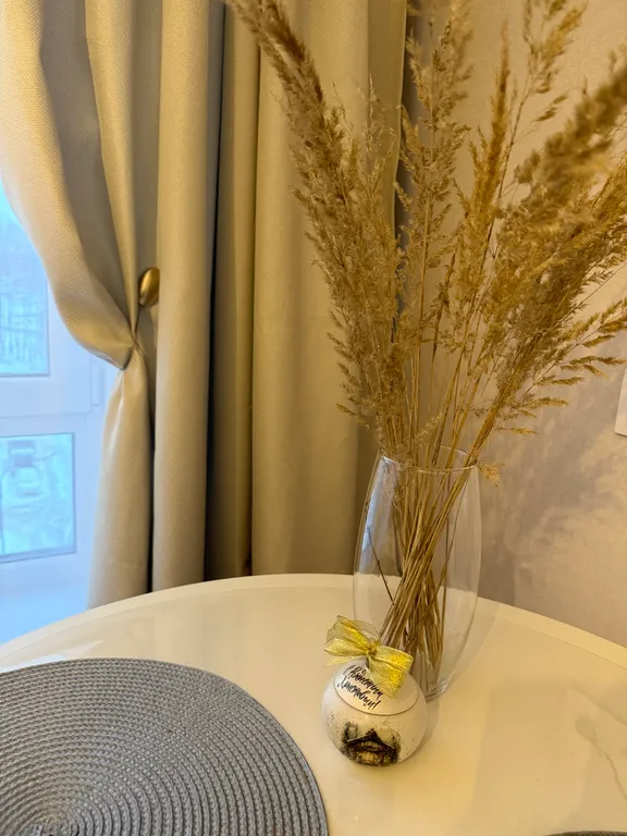 Уютная новая студия возле Шереметьево