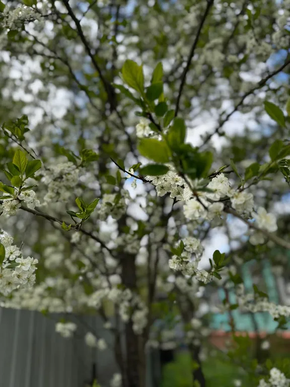 Апартаменты в центре города в историческом районе