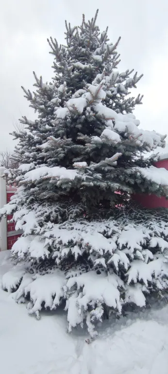 Гостевой домъ Обломовъ с видом на Волгу