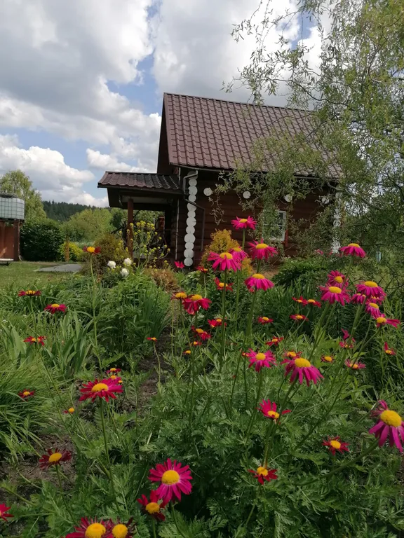 Загородный дом вдали от города