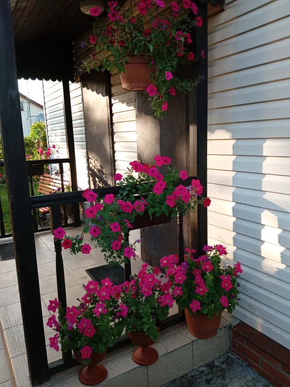 Апартаменты у моря