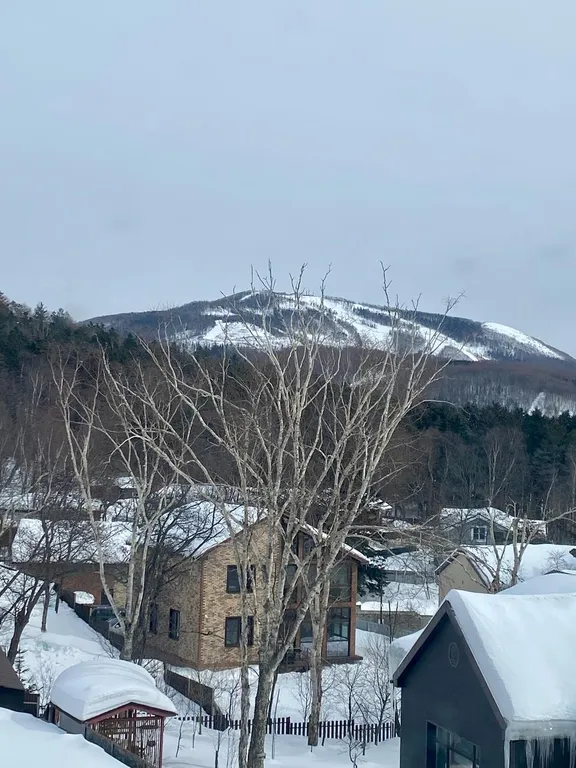 Апартаменты с видом на гору Большевик