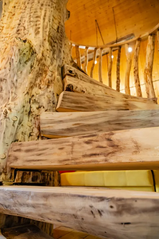 Дом с деревом