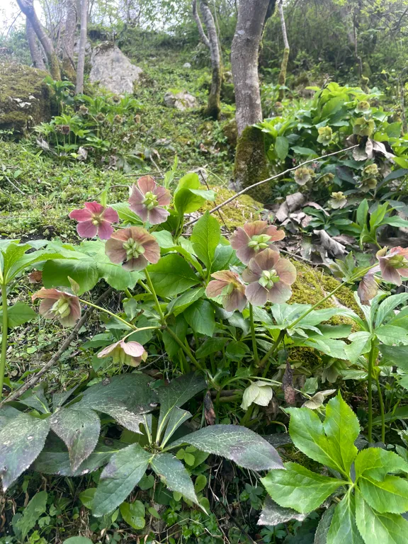 Дом среди гор