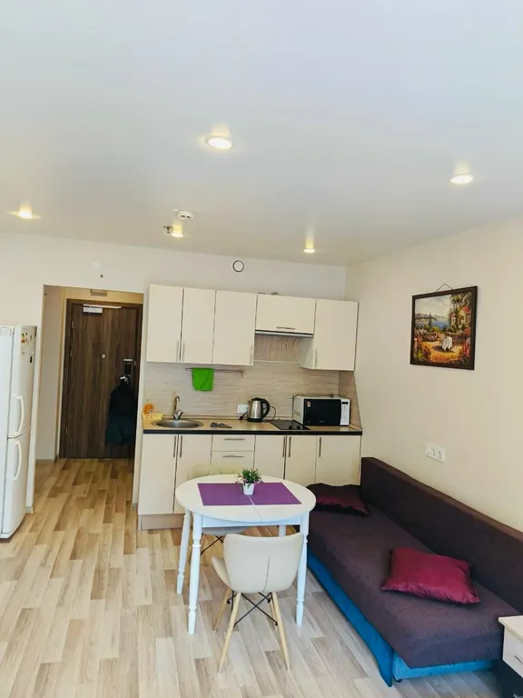 Квартира «Уютная квартира» От  метро 5 мин. — Санкт-Петербург