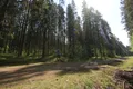 Спортивный Комплекс Курган в шаговой доступности