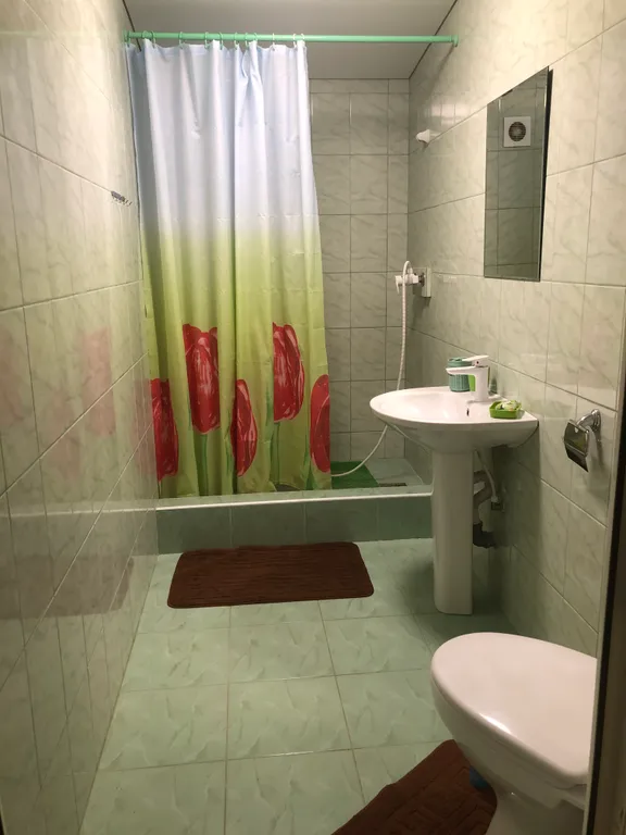 Квартира-студия с кухней и со своей ванной комнатой