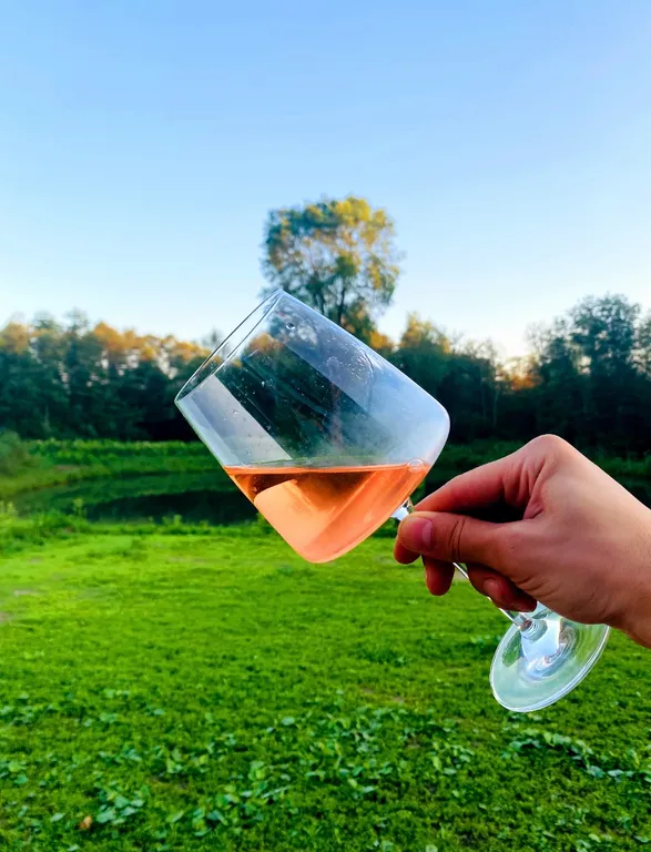 Альпийское шале Lakeview