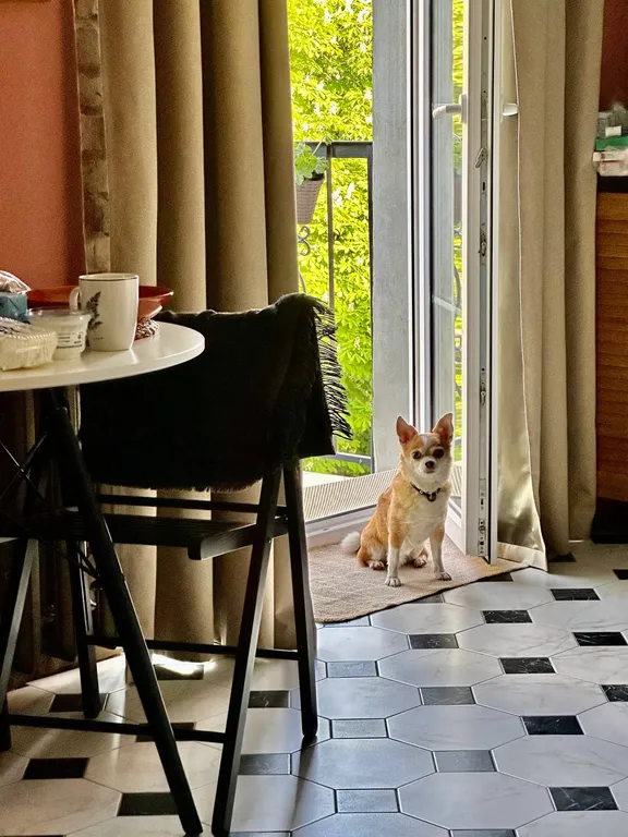 Студия в уютном центре города