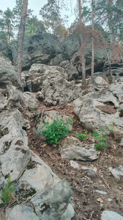 Гостевой домик