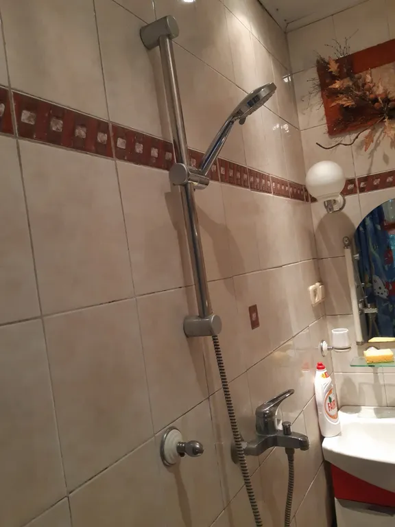 Уютная  однокомнатная  квартира. В историческом  доме  1898  года.