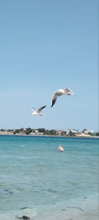 Апартаменты с видом на бассейн