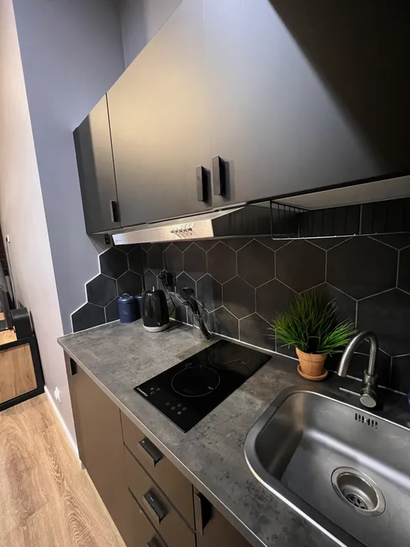 Просторная студия в стиле Loft
