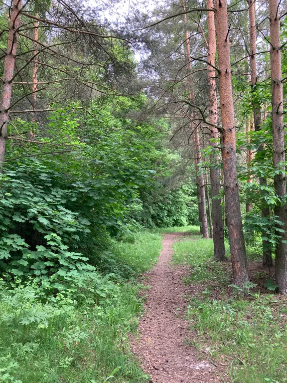 Коттедж Коттедж Новый барнхаус с баней — Манюхино