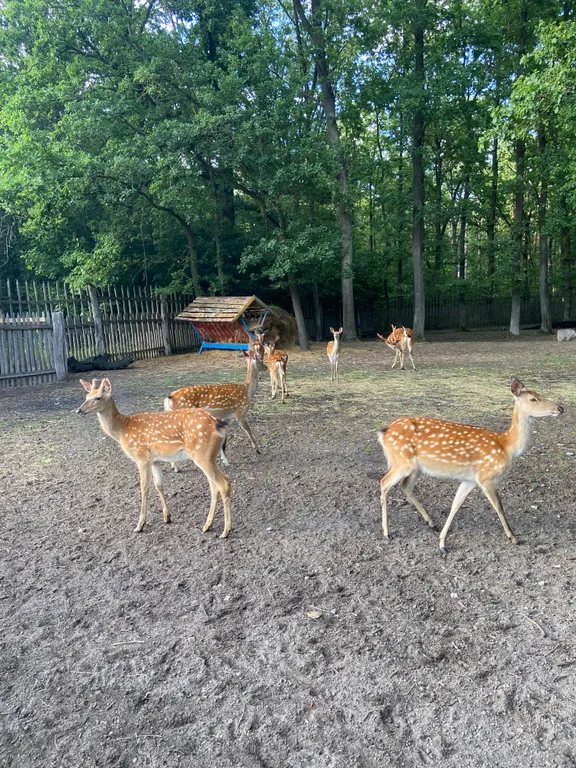 Усадьба На позитиве