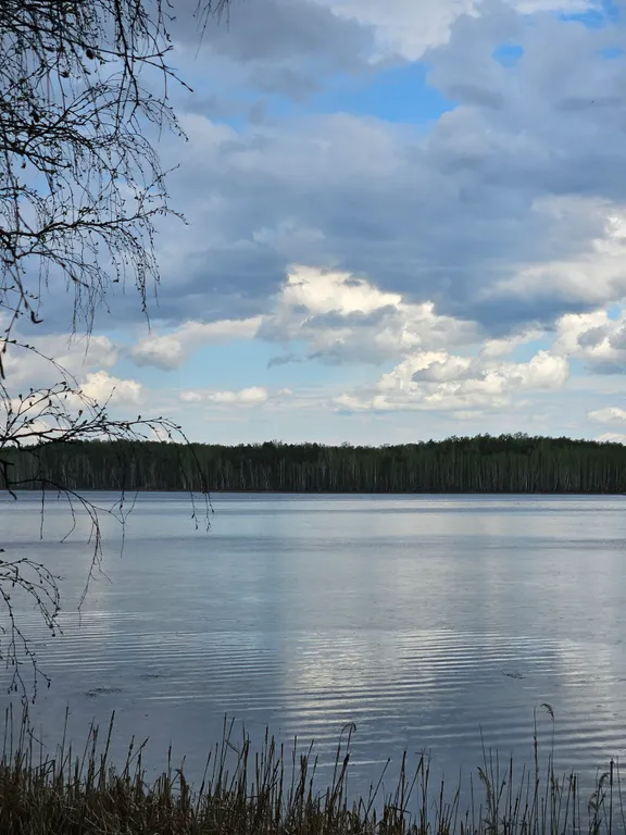 Дом на берегу озера