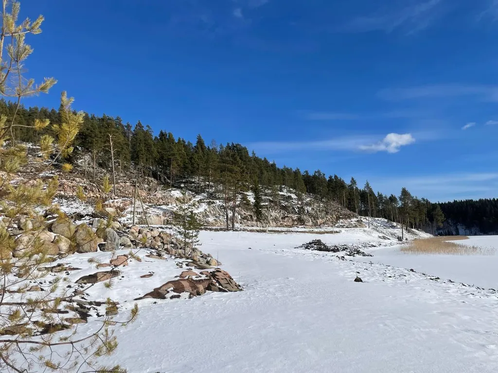 Домик на озере Ихоярви (дом №3)