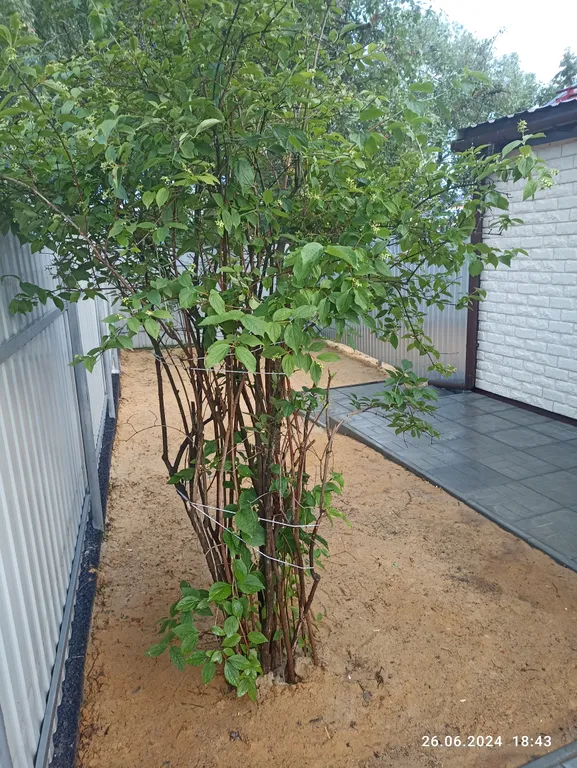 Уютный домик