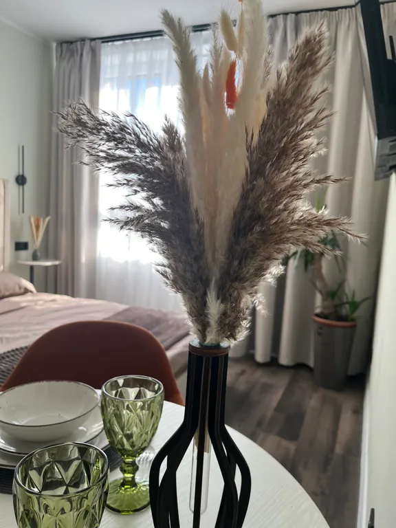 АКА100 АкаСто Студия комфорт-класса