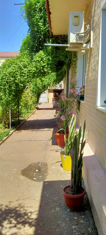 Демократичная цена, центр