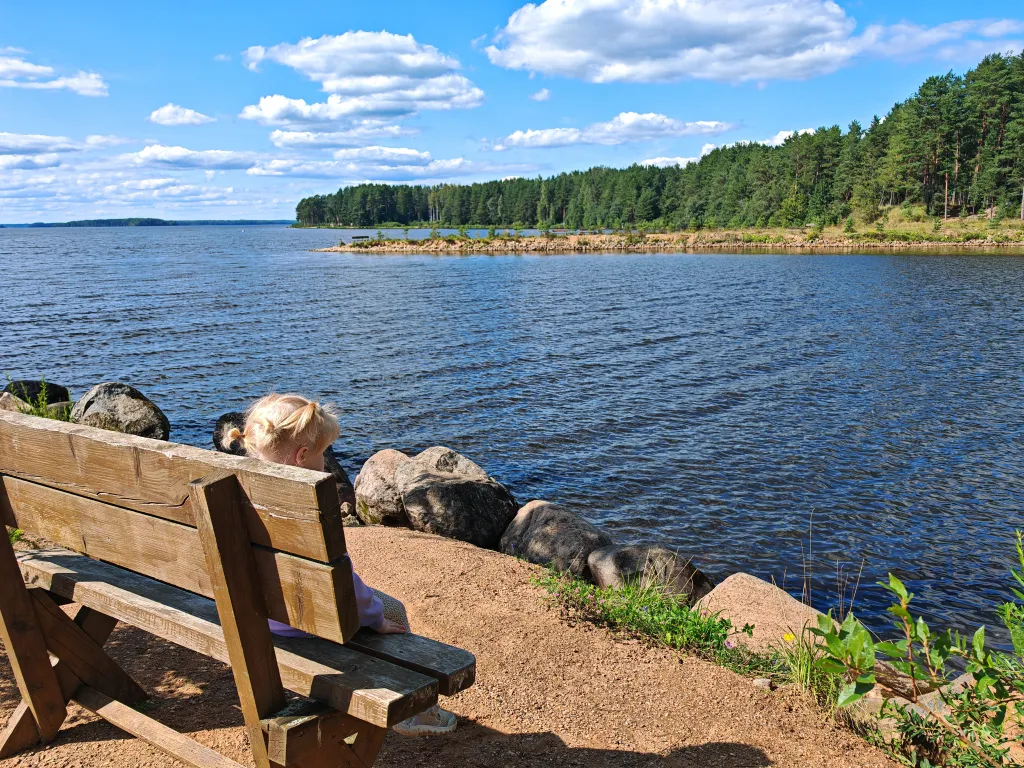 Коттедж Дом с тремя спальнями в турбазе чайка (селигер) — Турбаза Чайка