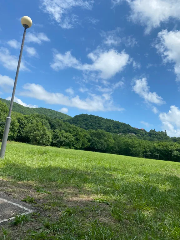 Глэмпинг Берег леса