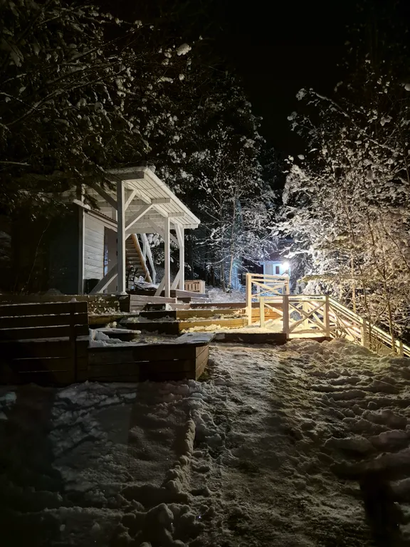 Дом сканди с камином с видом на озеро