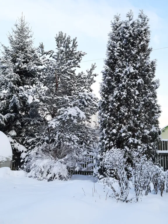 Коттедж Хаски дом — Разметелево
