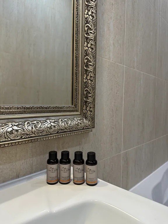 Евро-двухкомнатный апартамент Лаура 8