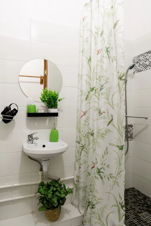 Студия 5 минут от зоопарка