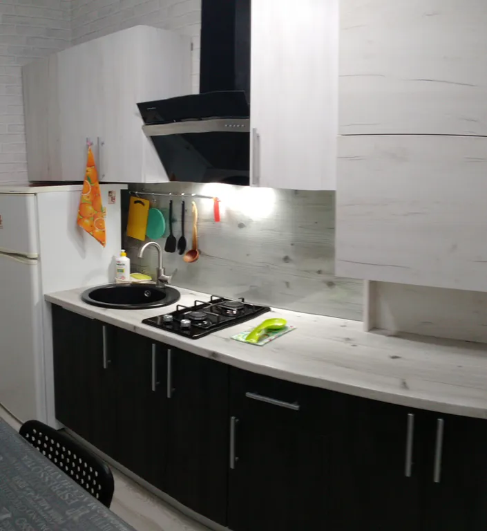 Квартира 1-комнатная Квартира — Светлогорск