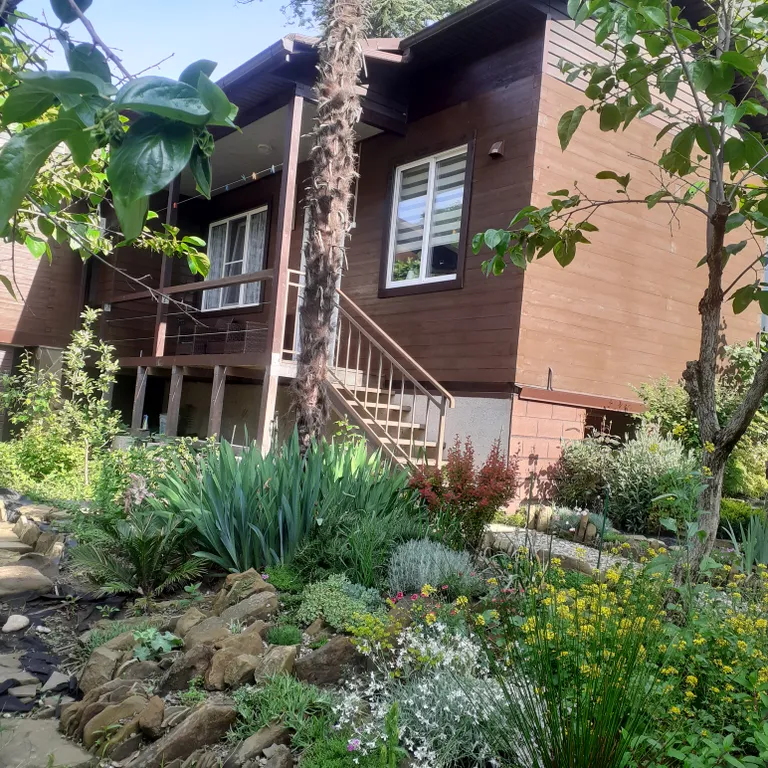 Коттедж Домик в Хосте — аренда посуточно в Хоста