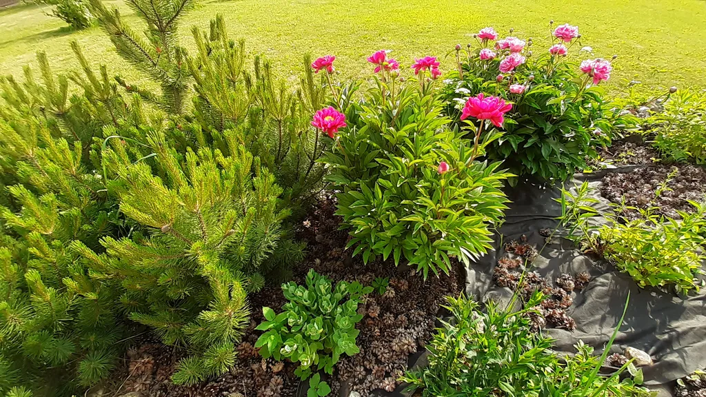 Уютный флигель