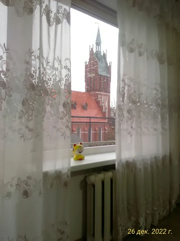 История из окна