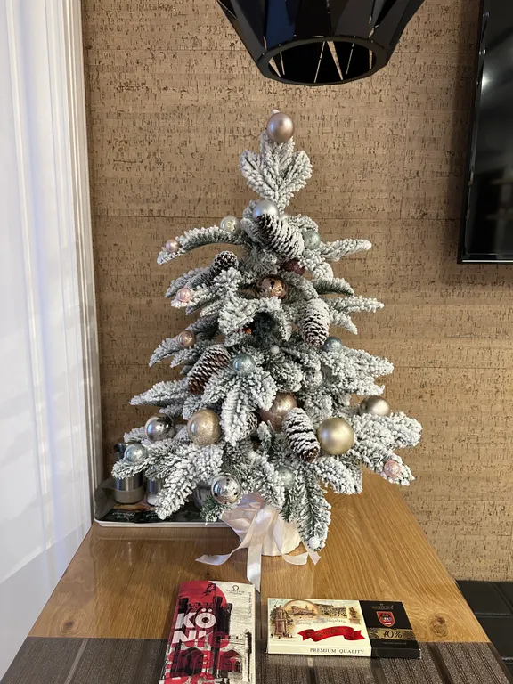 Дизайнерская студия