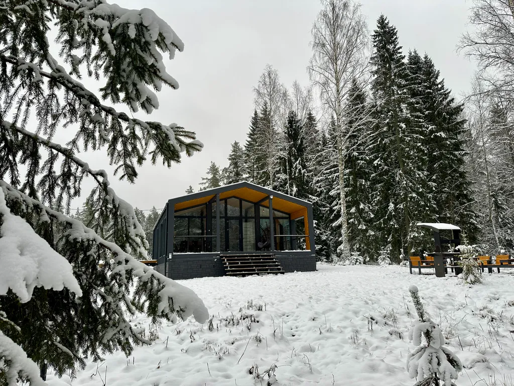 Дом с панорамными окнами в лес