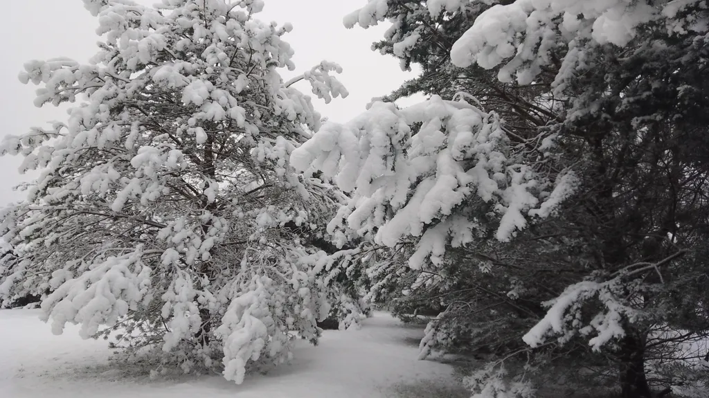 Эко Таунхаус Хитрый Лис Парк