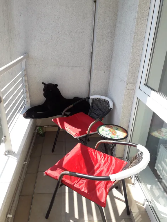 Квартира Квартира в ЖК Триумф — Адлер