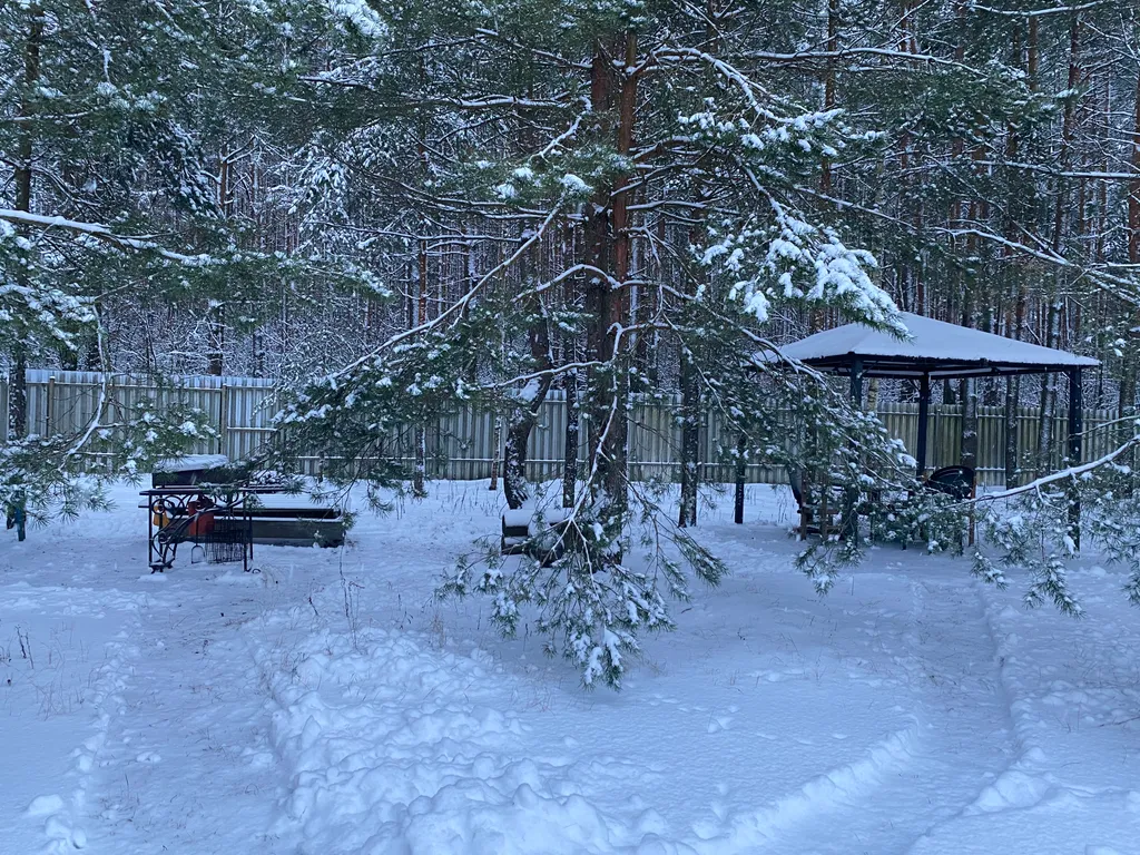 Эко-дом Хвойный лес с баней