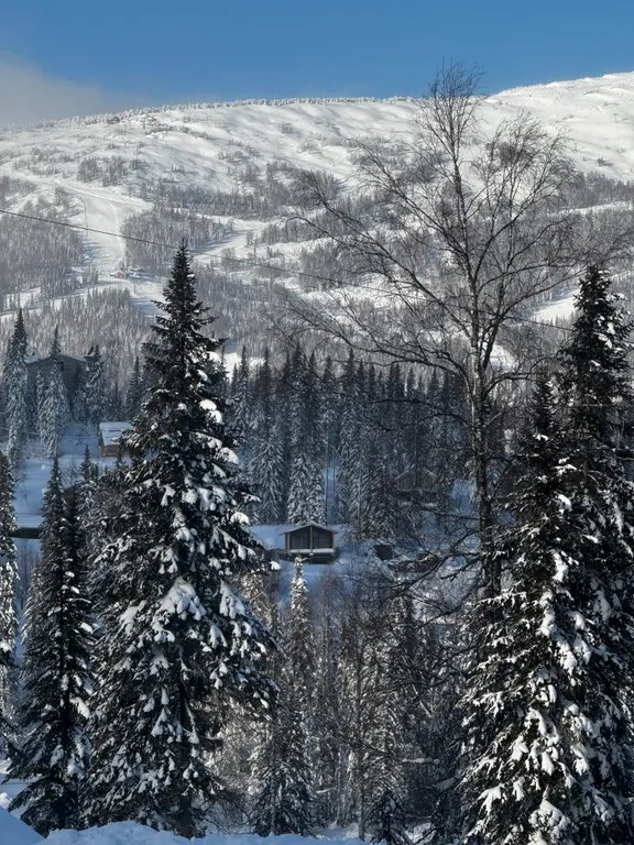 Приглашаем вас в новый, современный, уютный barn house