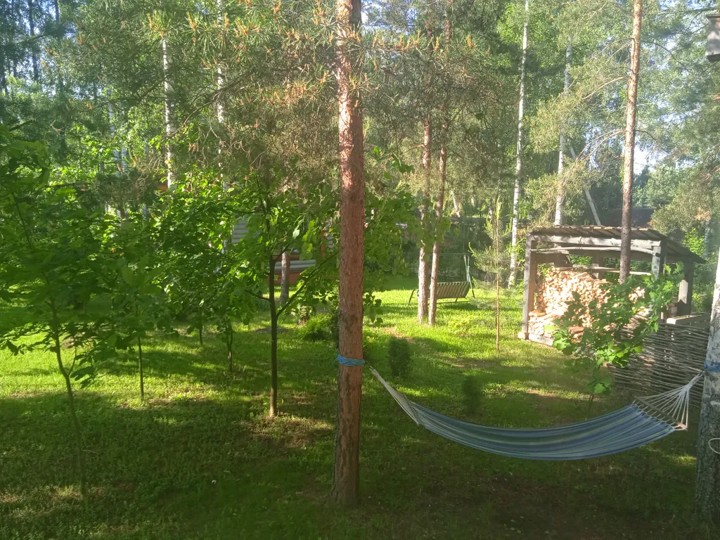 Дом с беседкой на берегу водохранилища