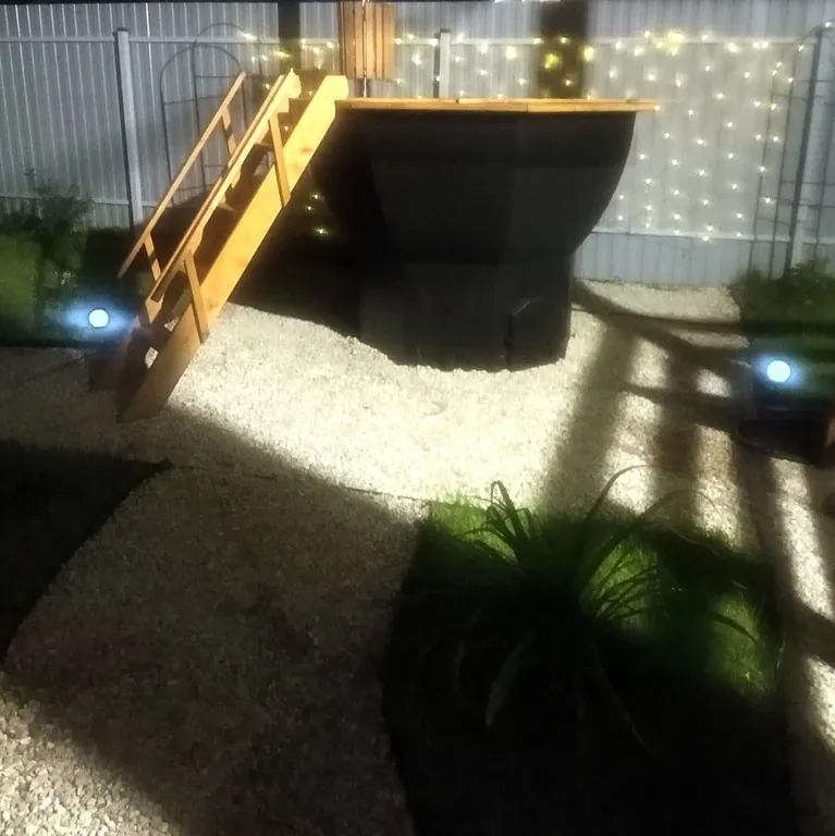 Новый стильный дом в окружении леса