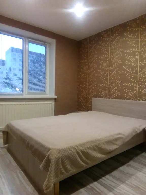 Апартамент Плесков Ганзейский