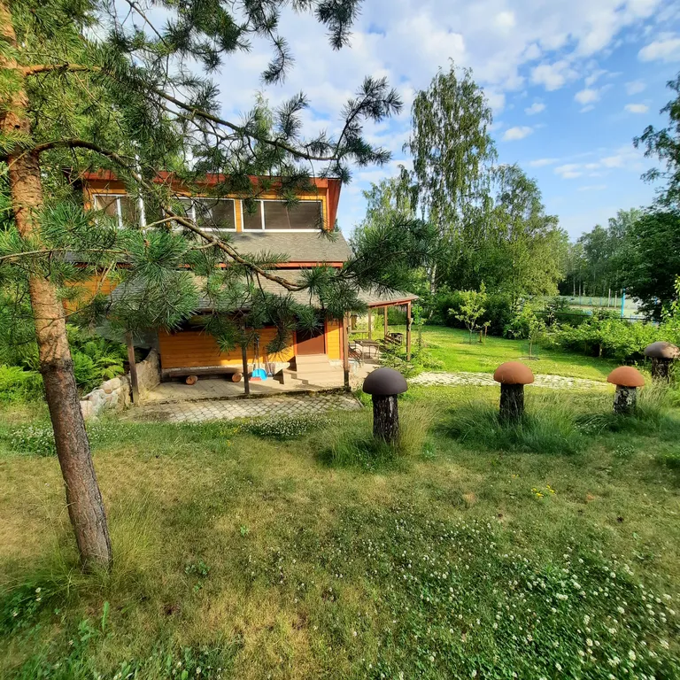 Дом-студия у Монрепо