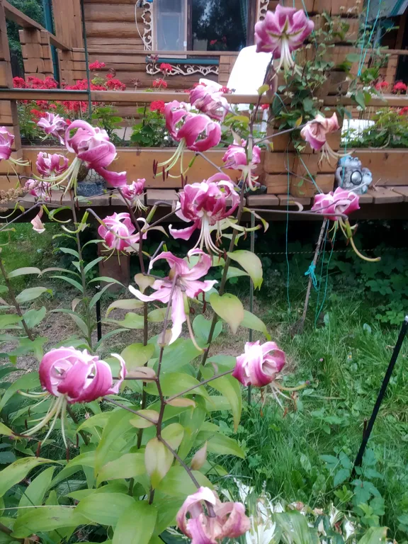 Деревенский дом на реке Оке рядом с родиной Есенина