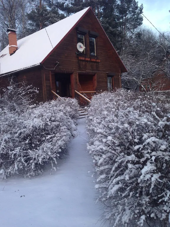 Уютный дом в рядом с лесом