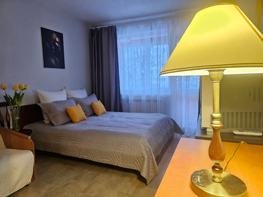 Просторная однокомнатная квартира