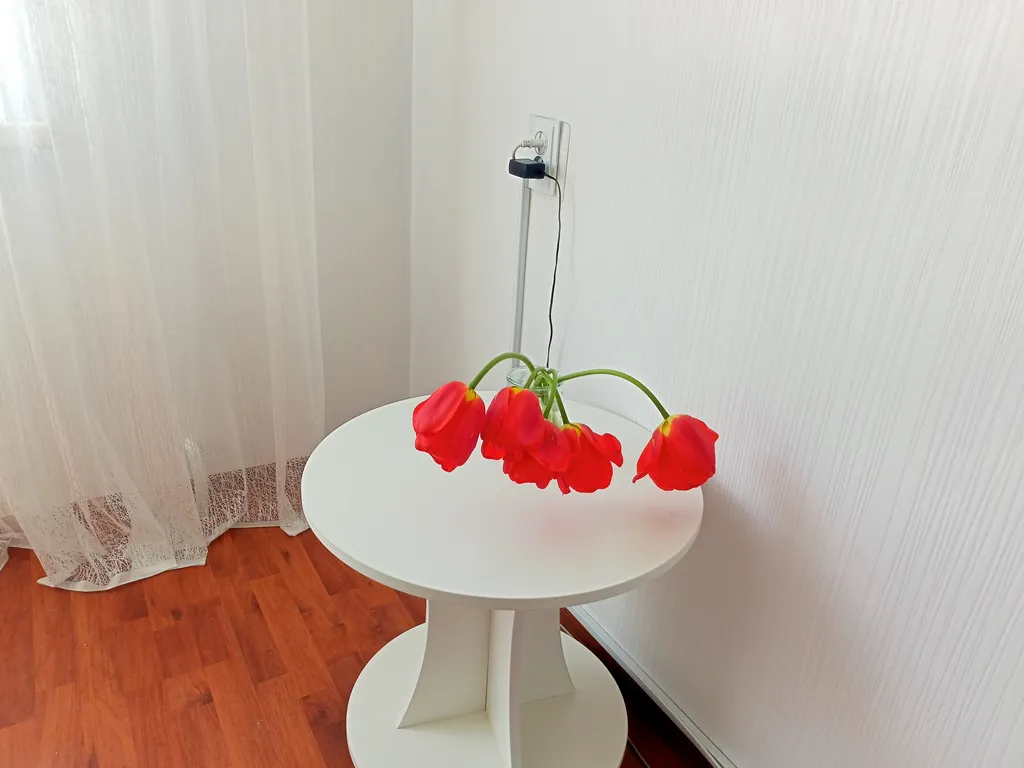 Уютная квартира для отдыха