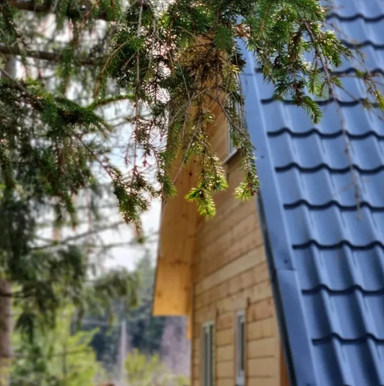 Загородный дом в живописном месте